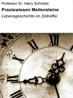 cover image of Praxiswissen Meilensteine